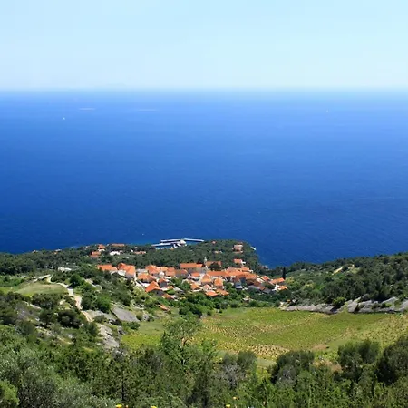 Apartmán Sveta Nedilja 14086b